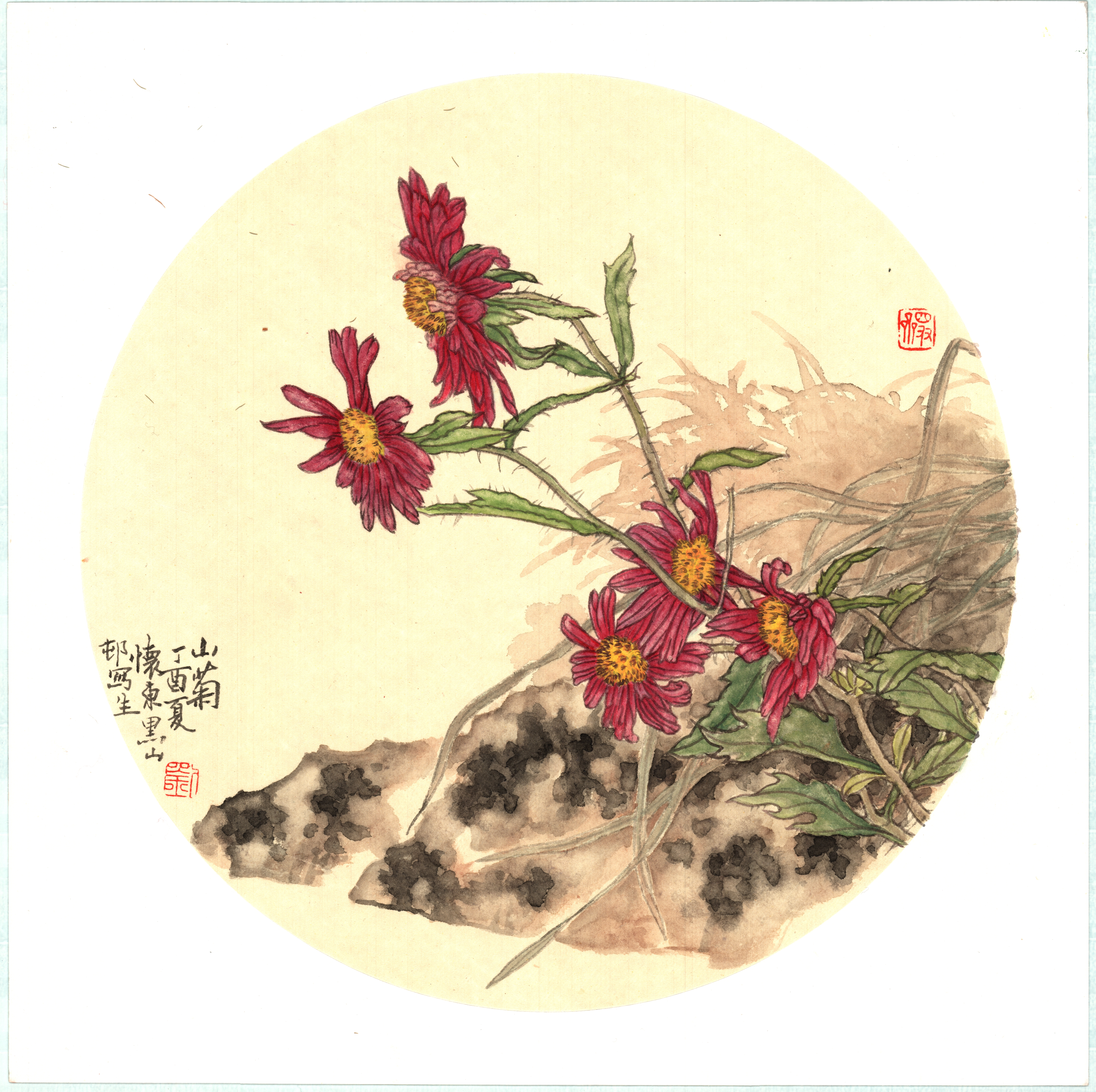 刘怀东作品《山菊》.jpg