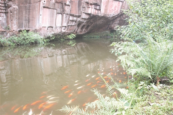 唤鱼池.jpg 唤鱼池.jpg